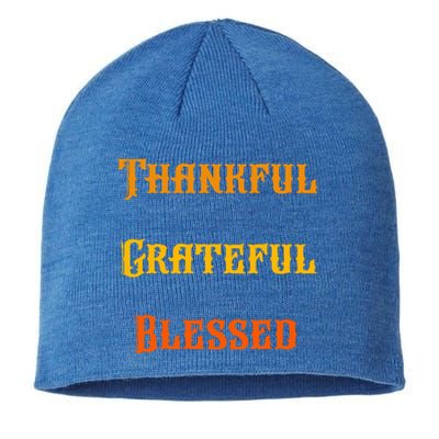 Thankful Grateful And Blessed Gift Sustainable Beanie