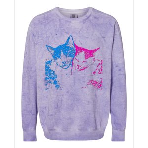 Tv Girl Band French Exit Album Funny Cat Lovers Colorblast Crewneck Sweatshirt