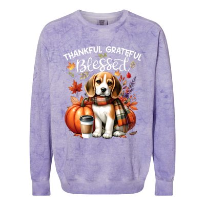 Thankful Grateful Blessed Beagle Dog Happy Fall YAll Autumn Colorblast Crewneck Sweatshirt