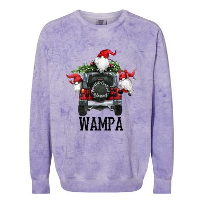 Thankful Grateful Blessed Wampa Grandpa Gift Cool Gift Colorblast Crewneck Sweatshirt