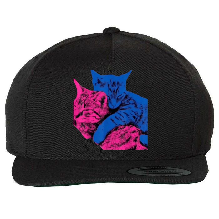 Tv Girl Band French Exit Album Funny Cat Lovers Wool Snapback Cap