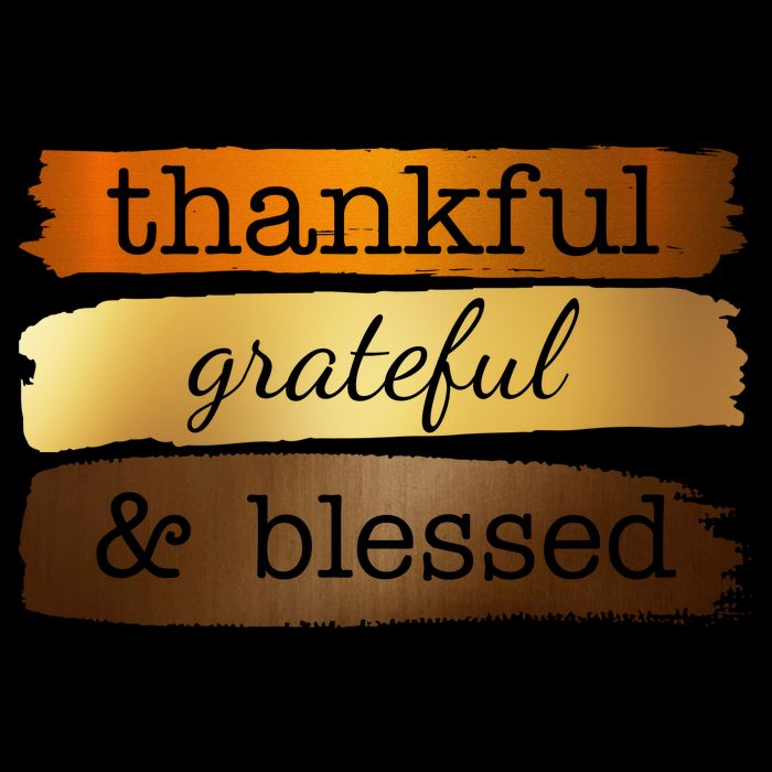 Thankful Grateful Blessed Thanksgiving Holiday Bucket Hat