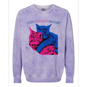 Tv Girl Band French Exit Album Funny Cat Lovers Colorblast Crewneck Sweatshirt