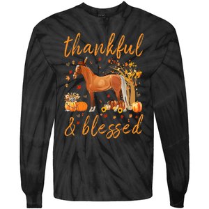 Thankful Grateful Blessed Horse Thanskgiving Matching Tie-Dye Long Sleeve Shirt