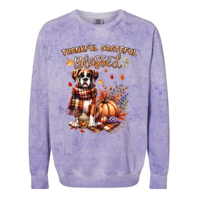 Thankful Grateful Blessed Cute Boxer Dog Fall YAll Autumn Gift Colorblast Crewneck Sweatshirt