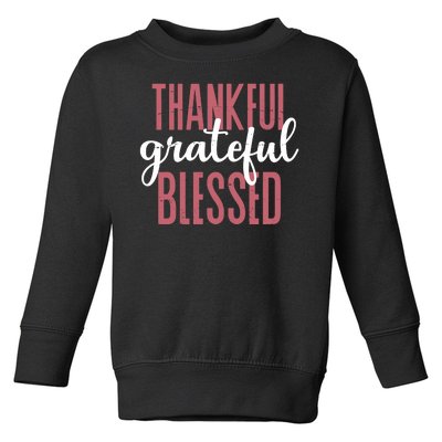 Thankful Grateful Blessed Cute Holiday Toddler Sweatshirt