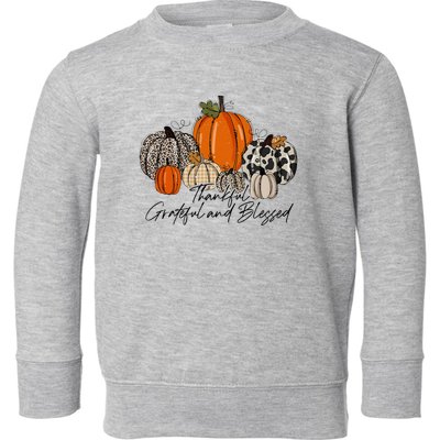 Thankful Grateful Blessed Thankful Pumpkin Thanksgiving Fall Toddler Sweatshirt