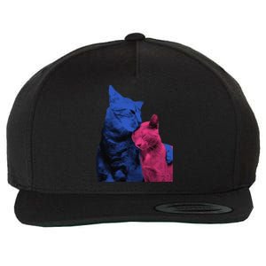 Tv Girl Band French Exit Album Funny Cat Lovers Wool Snapback Cap