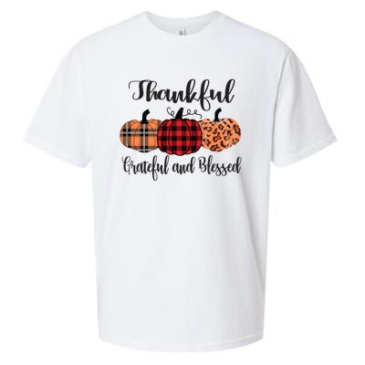 Thankful Grateful Blessed Plaid Leopard Pumpkin Thanksgiving Gift Sueded Cloud Jersey T-Shirt