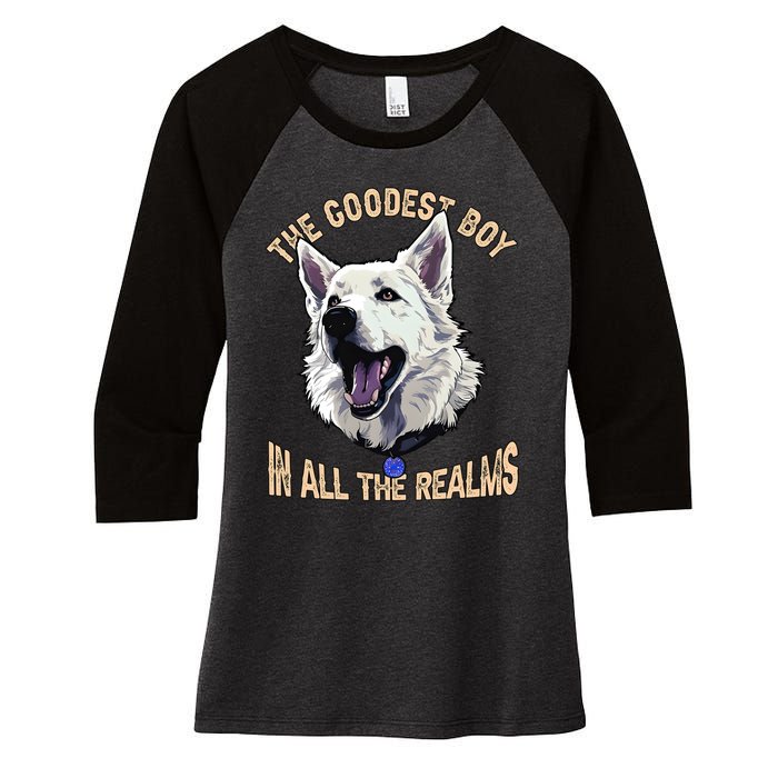 The Goodest Boy In All Realms Baldurs Gate 3 Dog Women's Tri-Blend 3/4-Sleeve Raglan Shirt