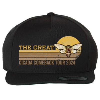 The Great Cicada Comeback 2024 Wool Snapback Cap