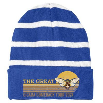 The Great Cicada Comeback 2024 Striped Beanie with Solid Band