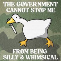 The Government Cannot Stop Me From Being Silly And Whimsical Legacy Tie Dye Trucker Hat