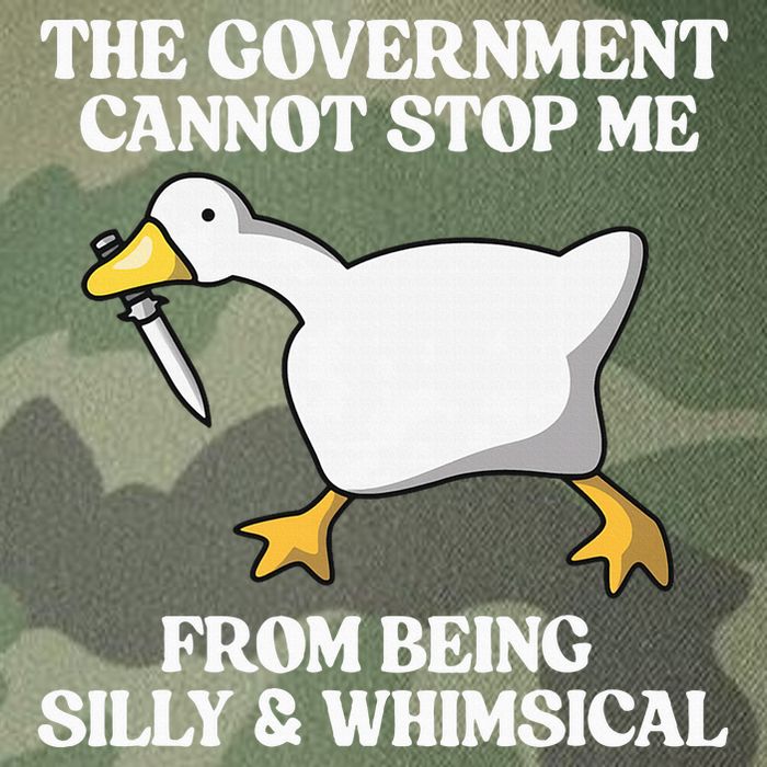 The Government Cannot Stop Me From Being Silly And Whimsical Legacy Tie Dye Trucker Hat