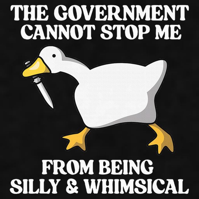 The Government Cannot Stop Me From Being Silly And Whimsical Ladies PosiCharge Tri-Blend Wicking Tank