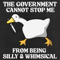The Government Cannot Stop Me From Being Silly And Whimsical 7 Panel Mesh Trucker Snapback Hat