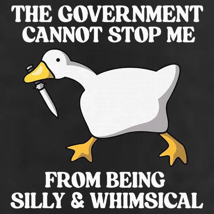 The Government Cannot Stop Me From Being Silly And Whimsical 7 Panel Mesh Trucker Snapback Hat