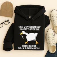 The Government Cannot Stop Me From Being Silly And Whimsical Hoodie