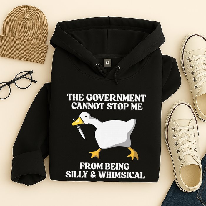 The Government Cannot Stop Me From Being Silly And Whimsical Hoodie