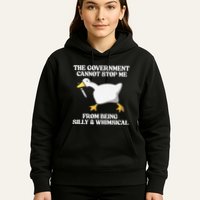 The Government Cannot Stop Me From Being Silly And Whimsical Hoodie