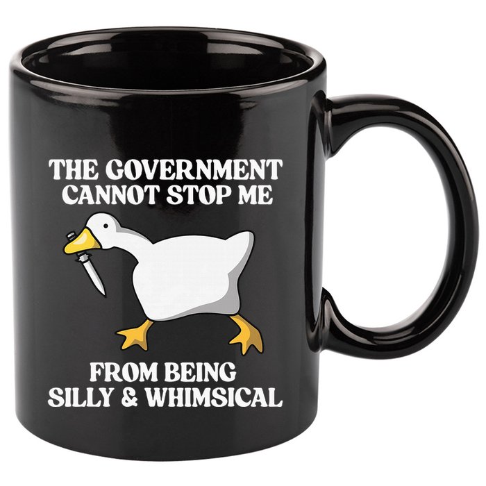 The Government Cannot Stop Me From Being Silly And Whimsical 11oz C Handle Ceramic Mug
