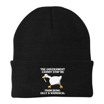 The Government Cannot Stop Me From Being Silly And Whimsical Beanie