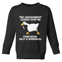 The Government Cannot Stop Me From Being Silly And Whimsical Toddler Sweatshirt