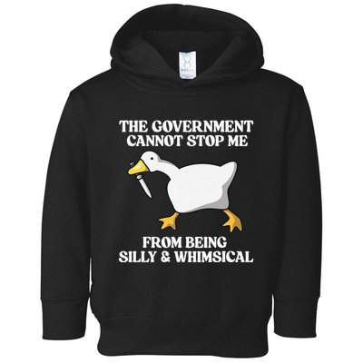The Government Cannot Stop Me From Being Silly And Whimsical Toddler Hoodie