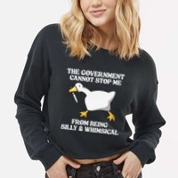 The Government Cannot Stop Me From Being Silly And Whimsical Cropped Pullover Crew