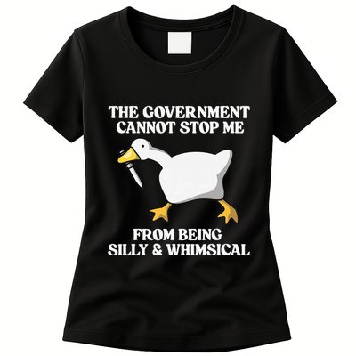 The Government Cannot Stop Me From Being Silly And Whimsical Womens T-Shirt