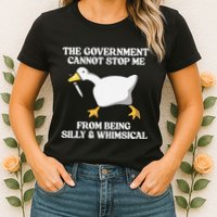 The Government Cannot Stop Me From Being Silly And Whimsical Womens T-Shirt