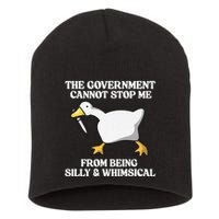 The Government Cannot Stop Me From Being Silly And Whimsical Short Acrylic Beanie