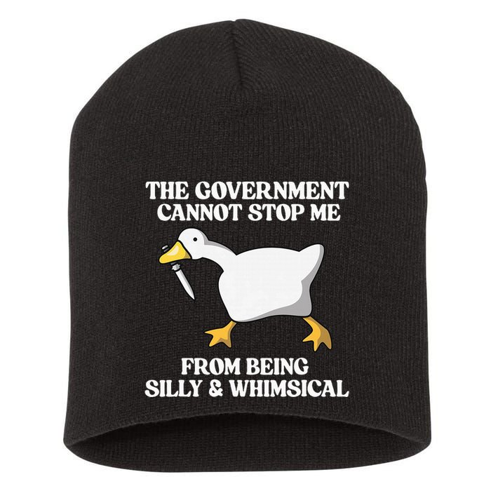 The Government Cannot Stop Me From Being Silly And Whimsical Short Acrylic Beanie