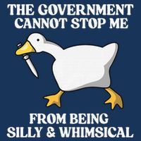 The Government Cannot Stop Me From Being Silly And Whimsical Infant Baby Jersey Bodysuit