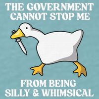 The Government Cannot Stop Me From Being Silly And Whimsical Sueded Cloud Jersey T-Shirt