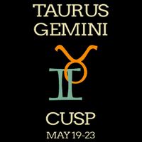 Taurus Gemini Cusp Zodiac Horoscope Gift Cooling Performance Crew T-Shirt