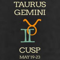 Taurus Gemini Cusp Zodiac Horoscope Gift Adult Drive Performance Visor