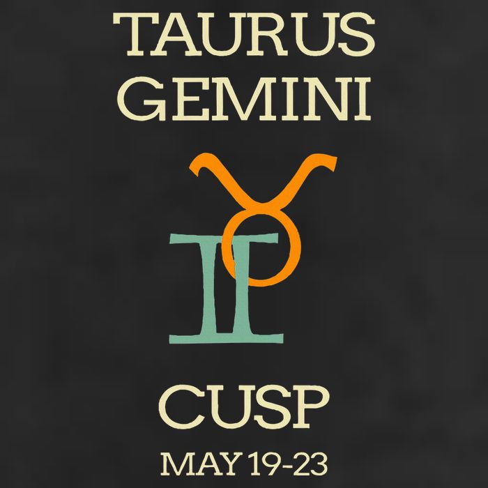 Taurus Gemini Cusp Zodiac Horoscope Gift Adult Drive Performance Visor