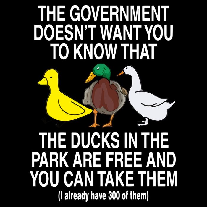 The Government DoesnT Want You To Know That The Ducks In The Park Are Free And Drawstring Bag