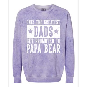 The Greatest Dads Get Promoted To Papa Bear FatherS Day Meaningful Gift Colorblast Crewneck Sweatshirt