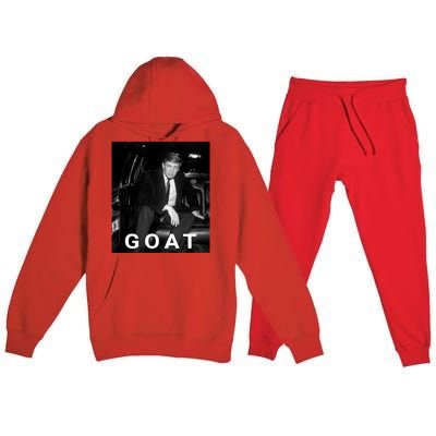 Trump Goat Donald Trump 2024 Gift Premium Hooded Sweatsuit Set