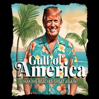 Trump Graphic Gulf Of Us America Trump Merchandise Flatbill Hat