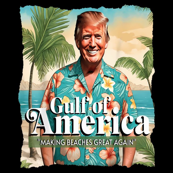 Trump Graphic Gulf Of Us America Trump Merchandise Flatbill Hat