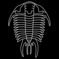 Trilobite Geology Geologist Fossil Collector Hunting Cool Gift Drawstring Bag