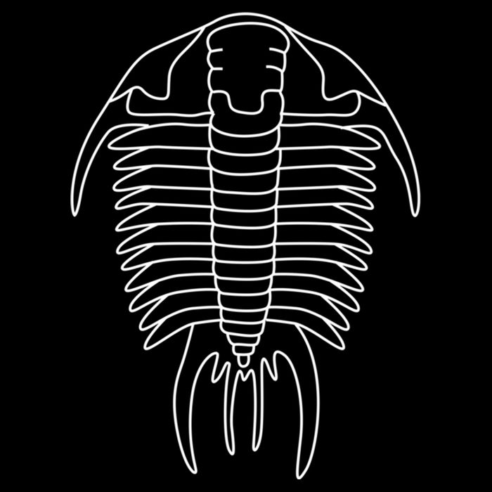Trilobite Geology Geologist Fossil Collector Hunting Cool Gift Drawstring Bag