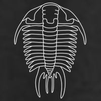 Trilobite Geology Geologist Fossil Collector Hunting Cool Gift Hat