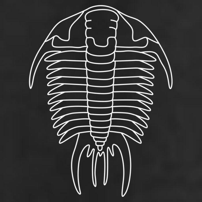 Trilobite Geology Geologist Fossil Collector Hunting Cool Gift Hat