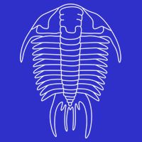Trilobite Geology Geologist Fossil Collector Hunting Cool Gift Toddler T-Shirt