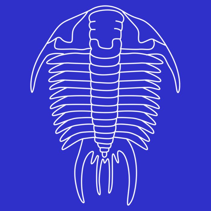 Trilobite Geology Geologist Fossil Collector Hunting Cool Gift Toddler T-Shirt