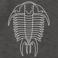 Trilobite Geology Geologist Fossil Collector Hunting Cool Gift Vector Backpack